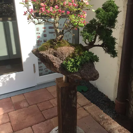 Alter Winzerhof E.k. 3*