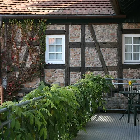 Alter Winzerhof E.k. Vendégház Weisenheim am Berg