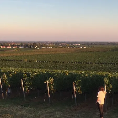 Alter Winzerhof E.k. 3*