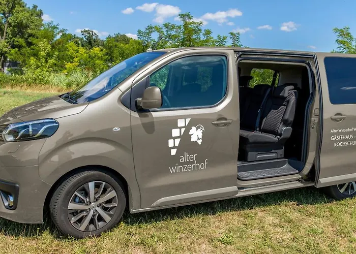 Casa de hóspedes Alter Winzerhof E.k.