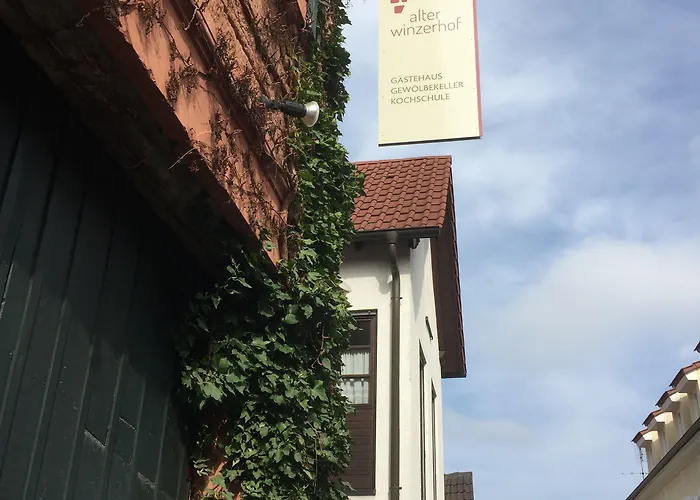 Alter Winzerhof E.k. Casa de hóspedes Weisenheim am Berg