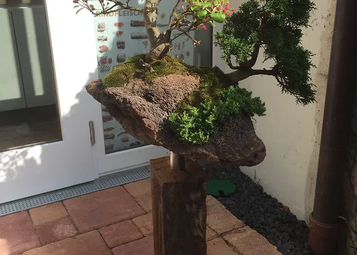 Alter Winzerhof E.k. 3*