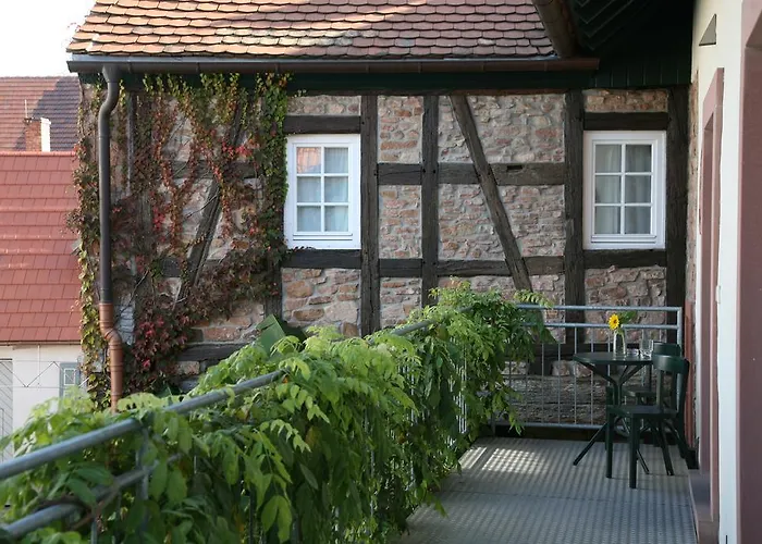Alter Winzerhof E.k. Casa de hóspedes Weisenheim am Berg
