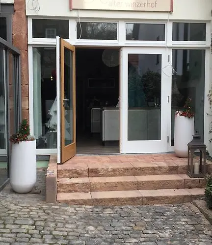 Alter Winzerhof E.k. Casa de hóspedes