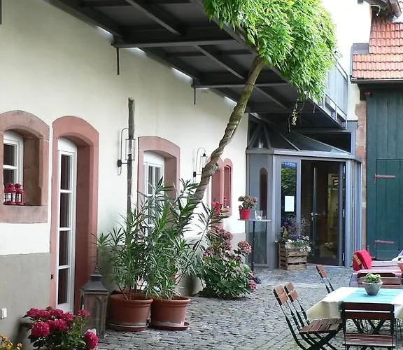 Alter Winzerhof E.k.