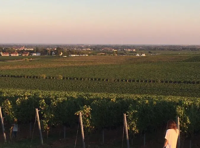 Alter Winzerhof E.k. 3*