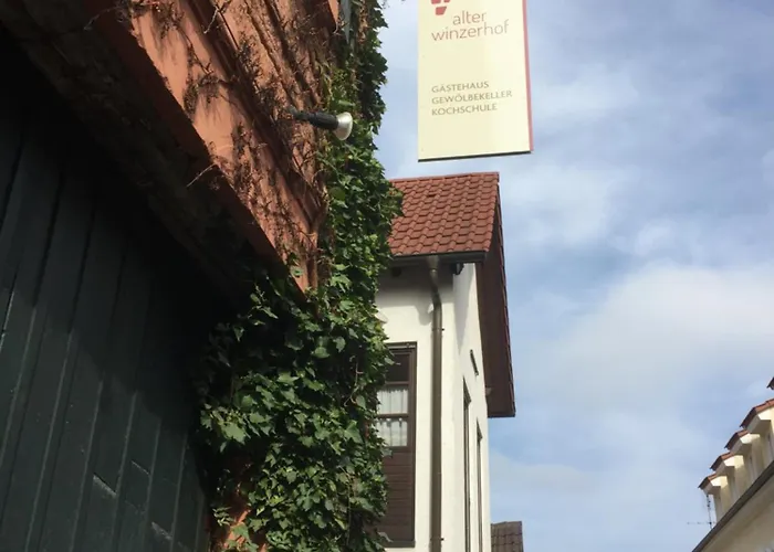 Casa de hóspedes Alter Winzerhof E.k.